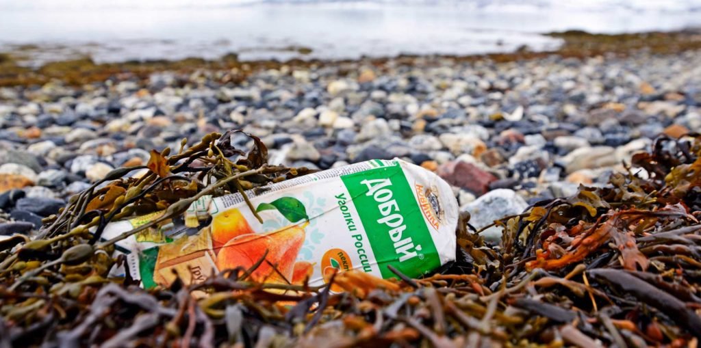 Søppel i fjæra illustrasjonsbilde