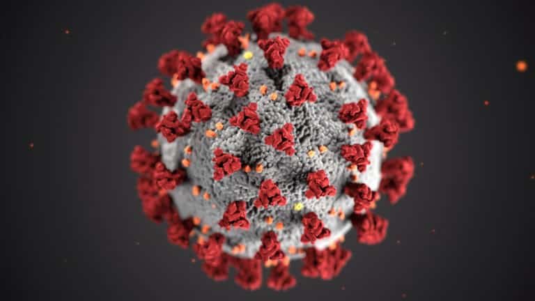 modell av et virus