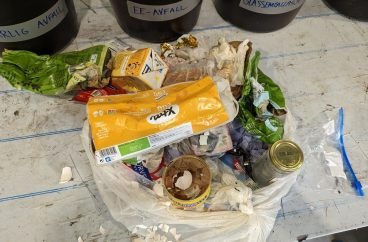 Plukkanalyse_Panorma_RMK_20118_Foto_Thomas_Vassbotn_Mahlum